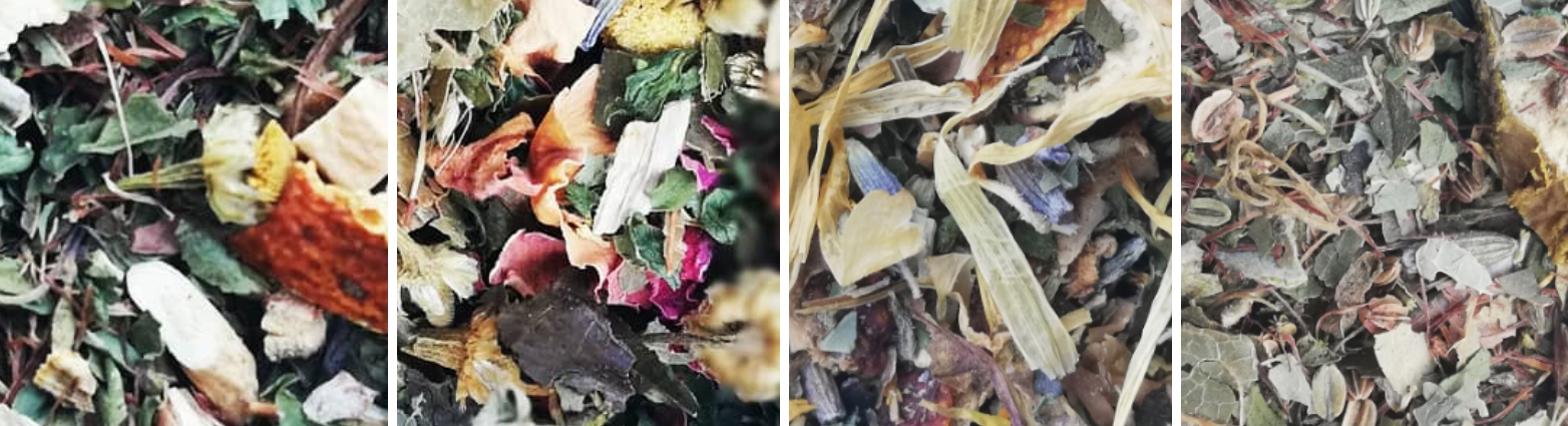 frauenheilkunde hanna krohn